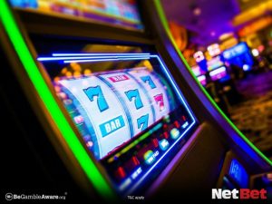 pgkf - Cassino Oficial Bet