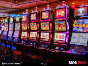 pgkf - App Bet Login